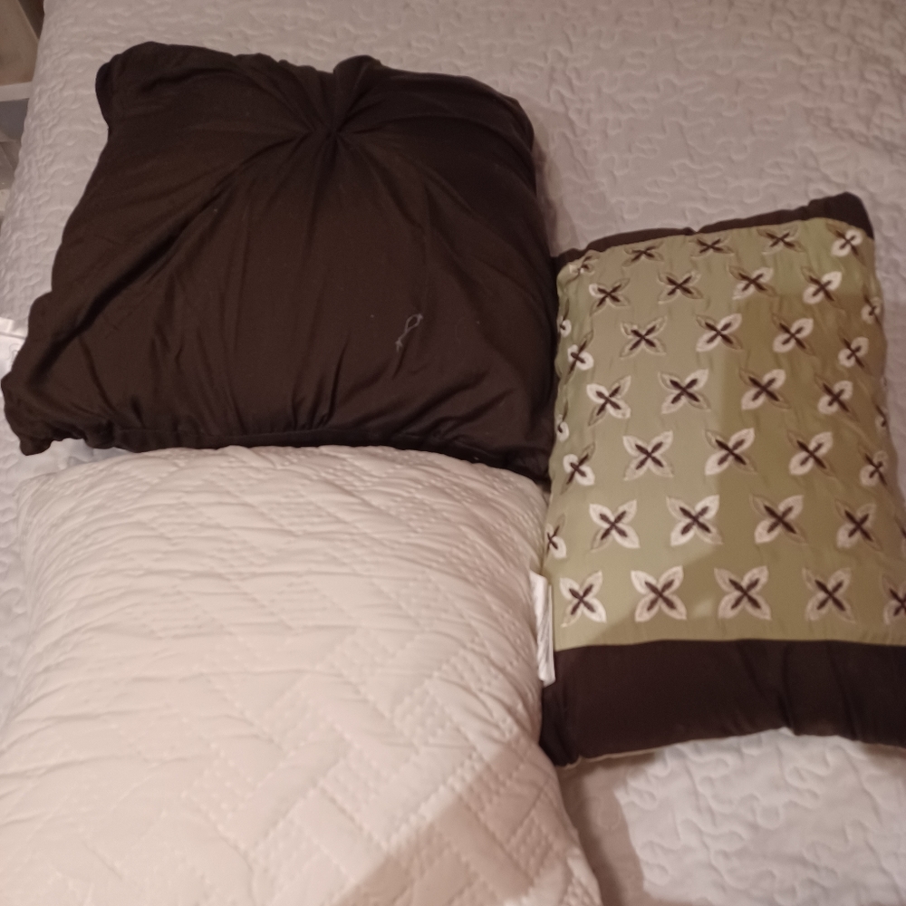 3 Accent Pillows